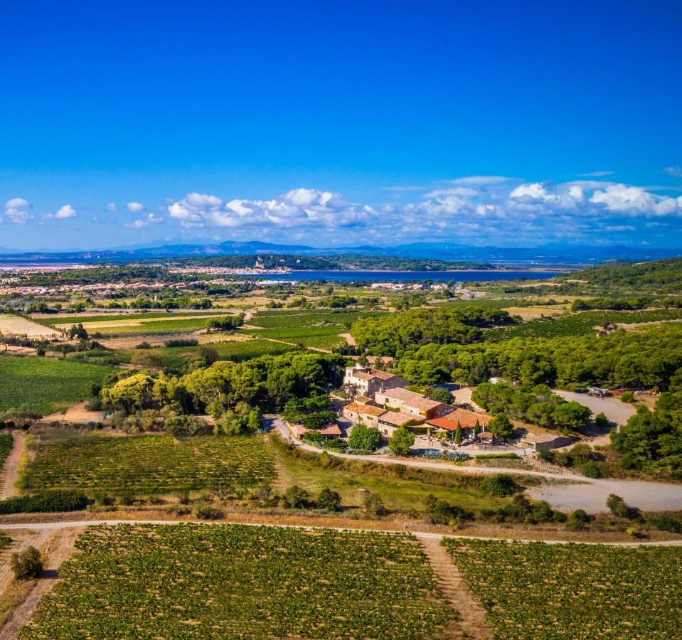 Chateau Le Bouis Gruissan Bagian luar foto